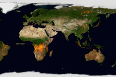 Real-time satellite observations reveal how wildfires devastated the planet in 2021