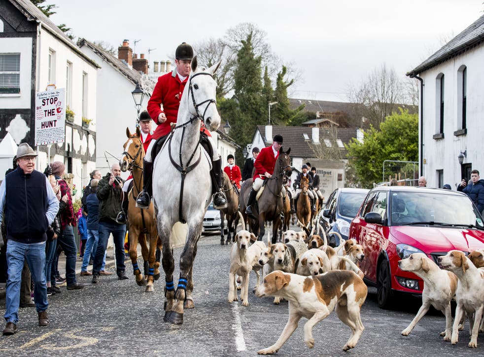 The Huntsman Master leads the hounds and riders through Main Street Crawfordsburn during the North Down New Year Hunt (Liam McBurney/PA)