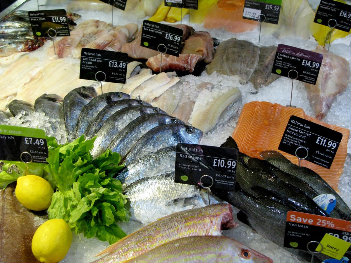 Molecule in fish ‘plays role in protecting and improving cognitive function’ Molecule in fish ‘plays role in protecting and improving cognitive function’