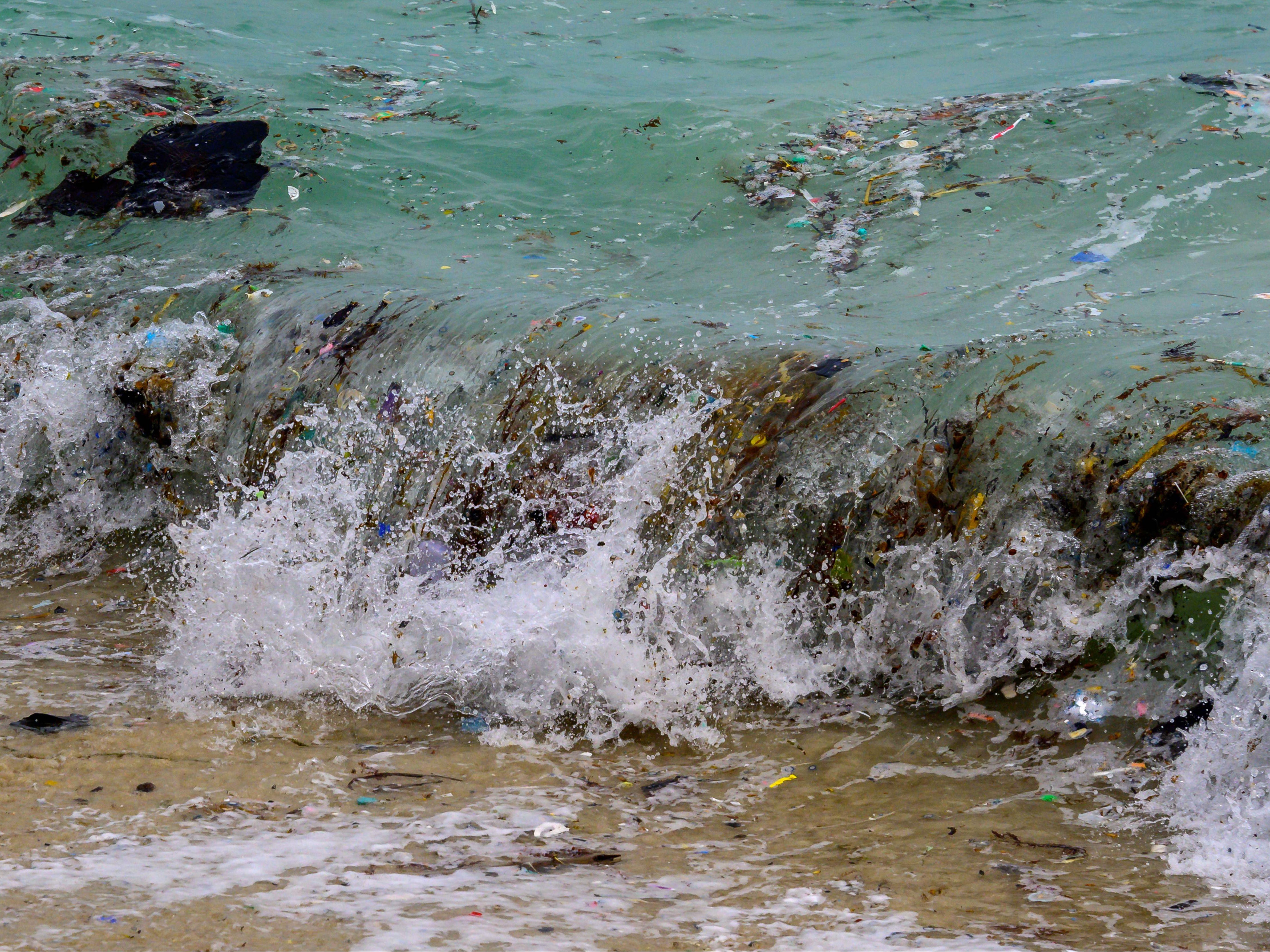 <p>File photo: Around 8 million tons of plastic flows from rivers and beaches into oceans every year </p>