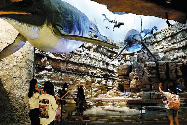 <p>Tourists visit a hall in the Geological Museum of Guizhou in Guiyang, Guizhou province</p>