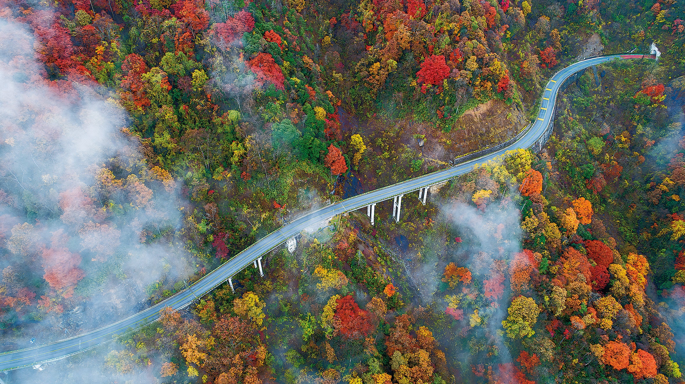 Shennongjia is known for its stunning view of a sea of clouds and its colourful autumn leaves