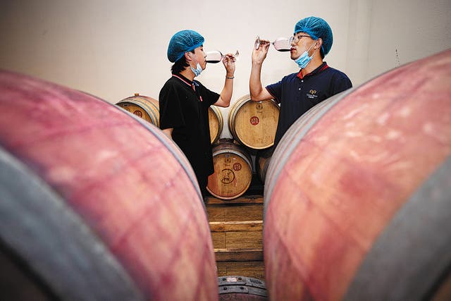<p>A staff member (right) and a student from the Food and Wine College of Ningxia University taste wine at a chateau located in the eastern foothills of Helan Mountains in the Ningxia Hui autonomous region in July</p>