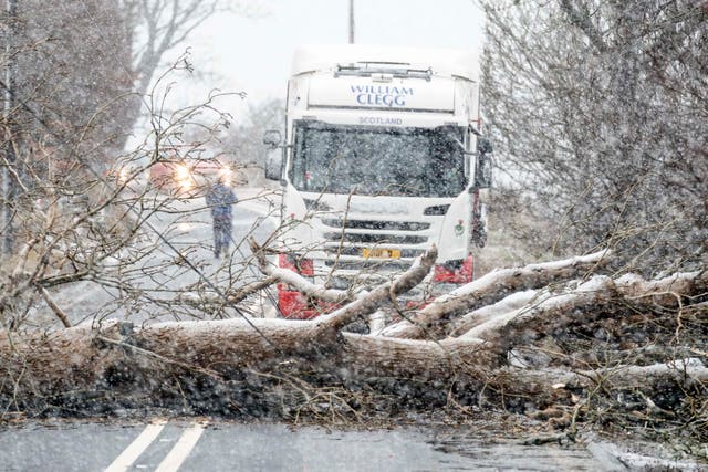 <p>A tree blocks a major road in South Lanarkshire on Tuesday</p>