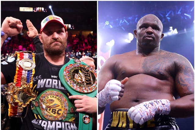 <p>Tyson Fury has been ordered to defend his WBC heavyweight title against Dillian Whyte</p>