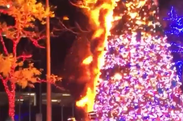 <p>Fox News’ New York City Christmas tree burnt down </p>
