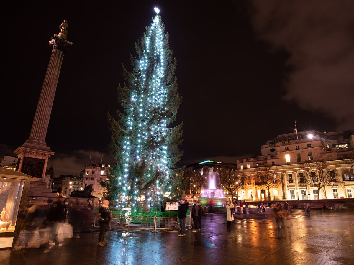 Oslo may provide UK a new Christmas tree after flood of criticism for Trafalgar Square spruce