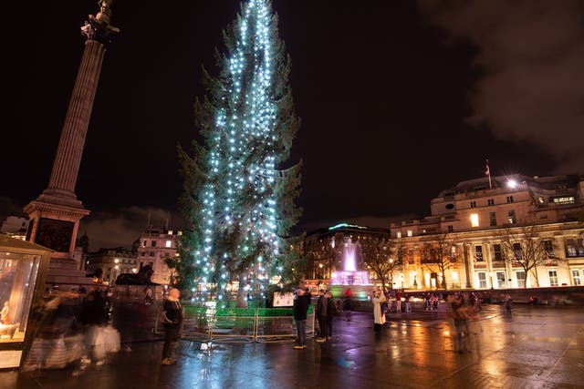 <p>Norway’s gift tree stands in Trafalgar Square</p>