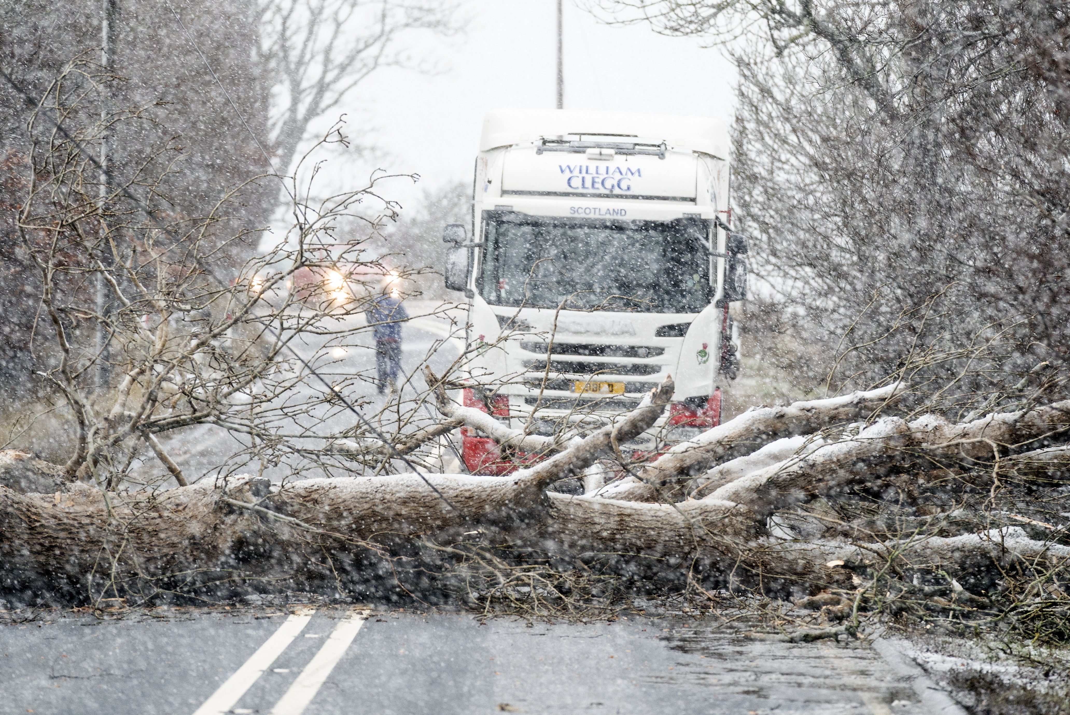 A fallen tree blocks the A702 near Coulter in South Lanarkshire on Tuesday (Jane Barlow/PA)