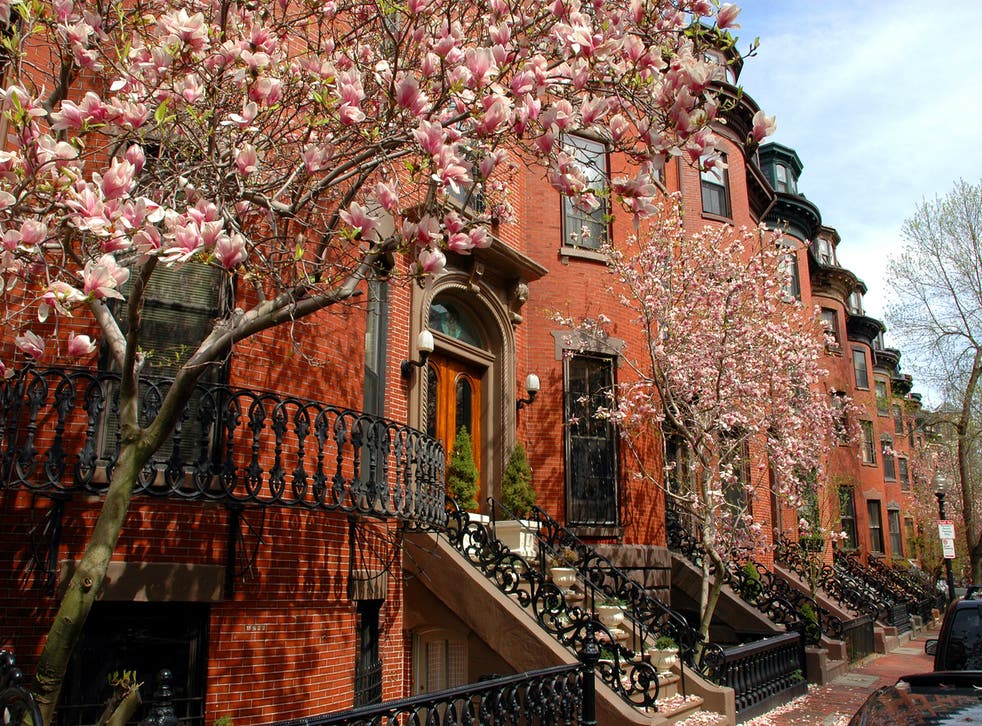 <p>Boston’s South End neighbourhood in spring</p>