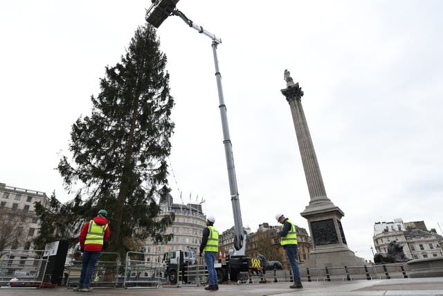 Workers put the finishing touches to the Trafalgar Square Christmas tree (James Manning/PA)