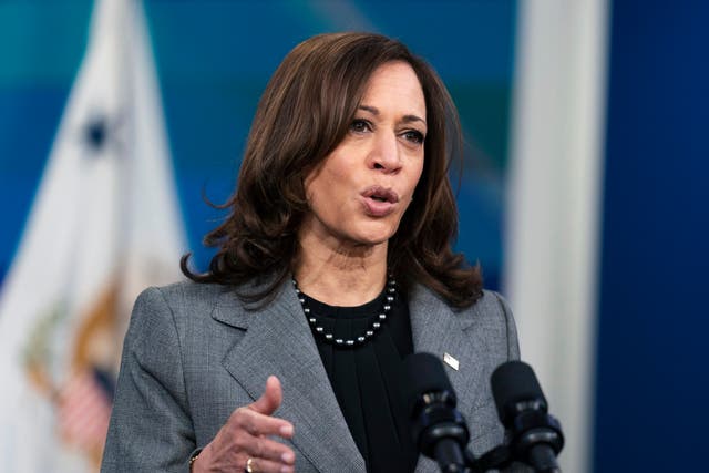 <p>Vice President Kamala Harris visited Milwaukee to promote the $1 trillion infrastructure bill on Monday </p>