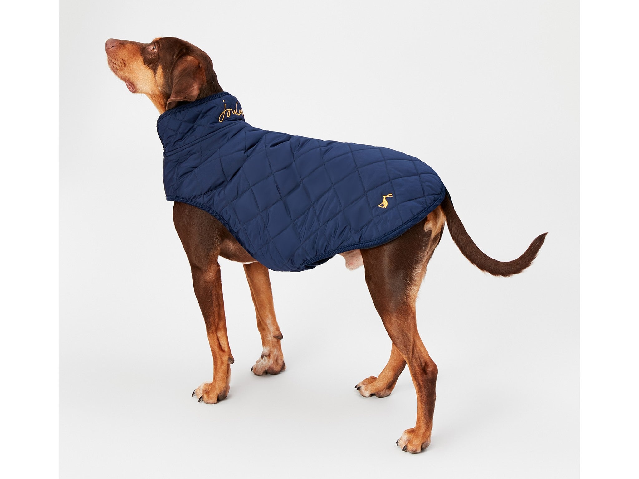 New Windhorse Tan Dog Coat Warm Fleece Waterproof Winter Jacket Clothes Puppy 