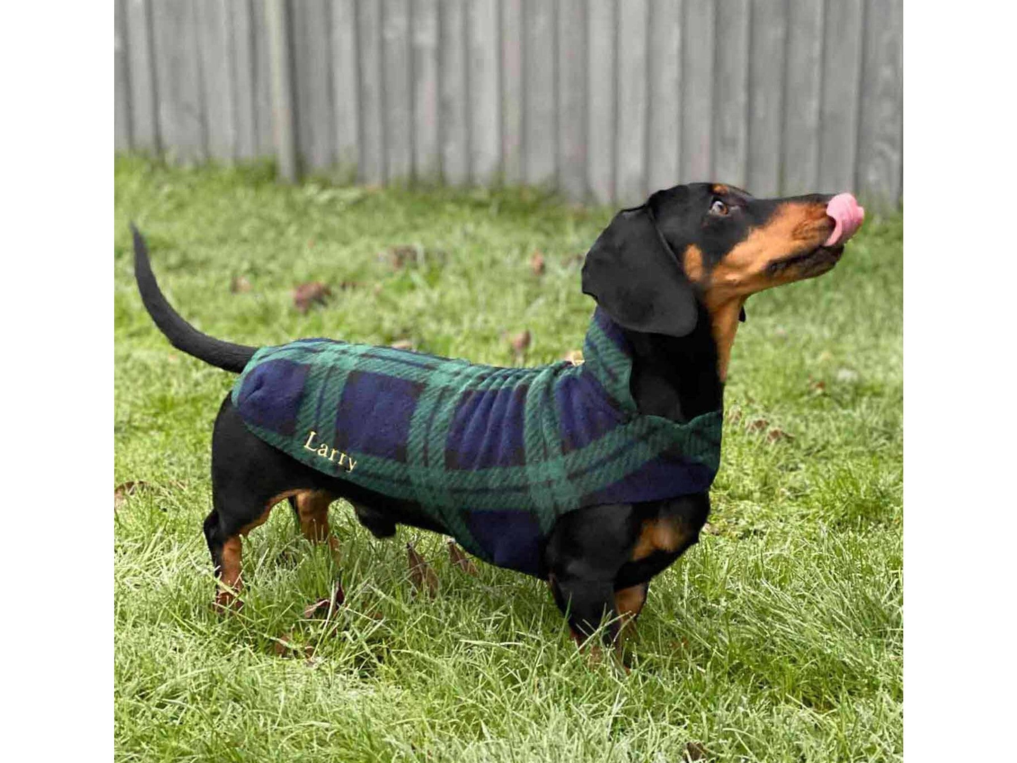 Best Dog Coats 2023: Waterproof And Hi-Vis Styles For Winter | The  Independent