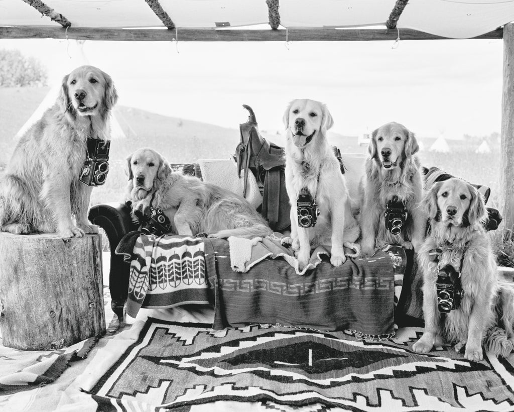 Friends for life: Meet the dogs who were always by Bruce Weber’s side