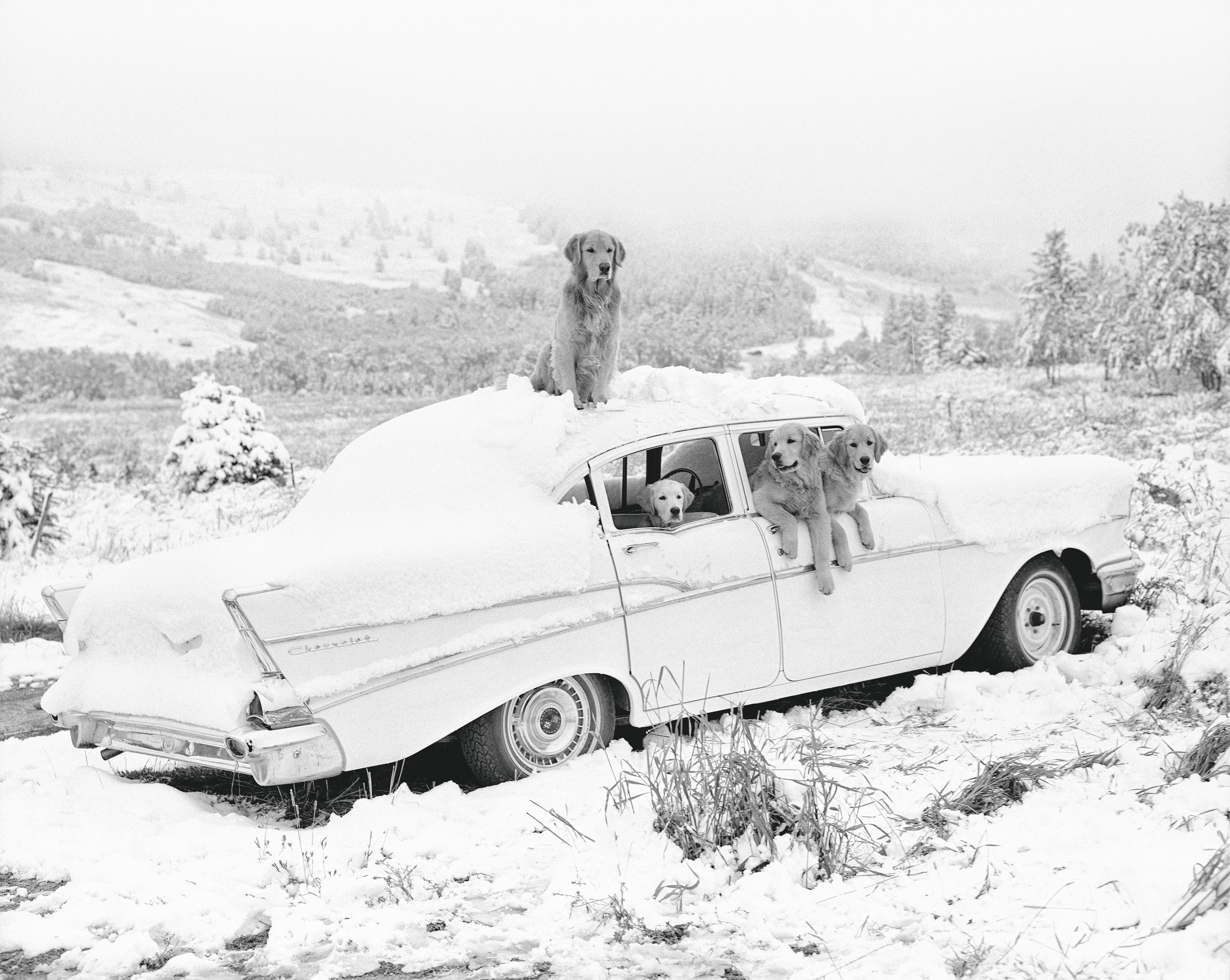 The gang, freak snowstorm, August, Little Bear Ranch, McLeod, Montana, 1992