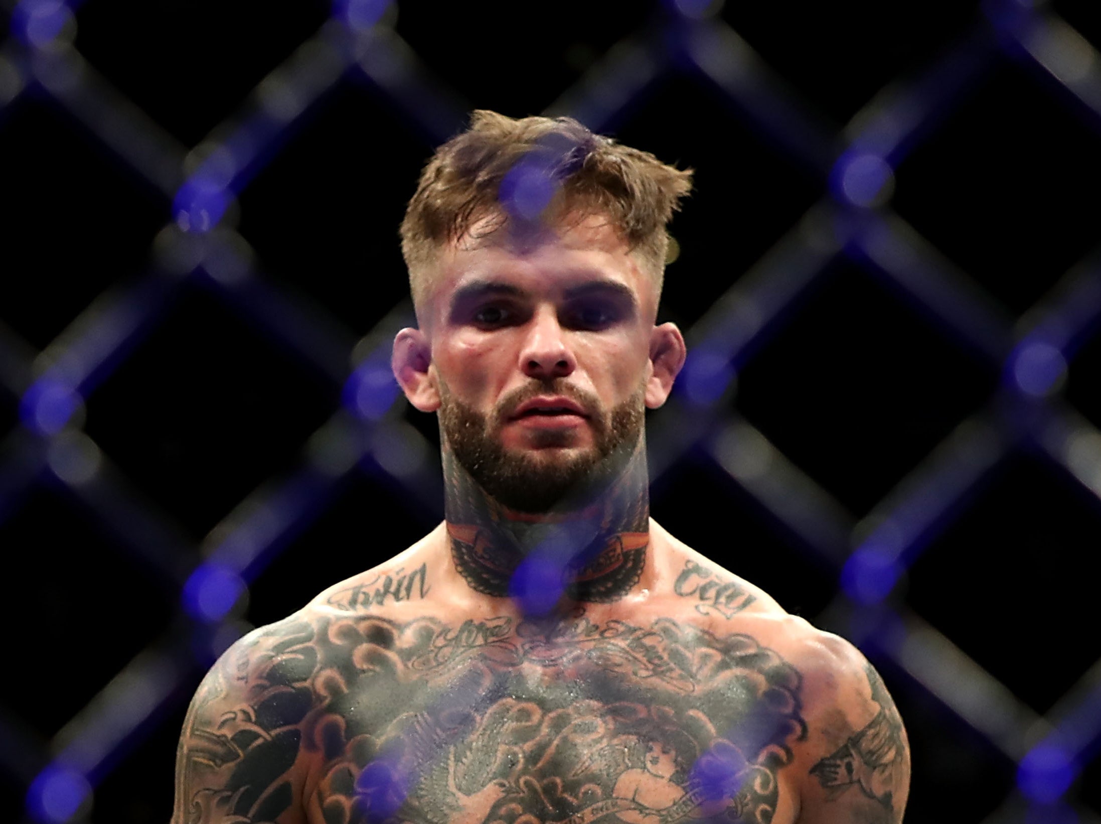 Ufc Cody garbrandt Cody no love