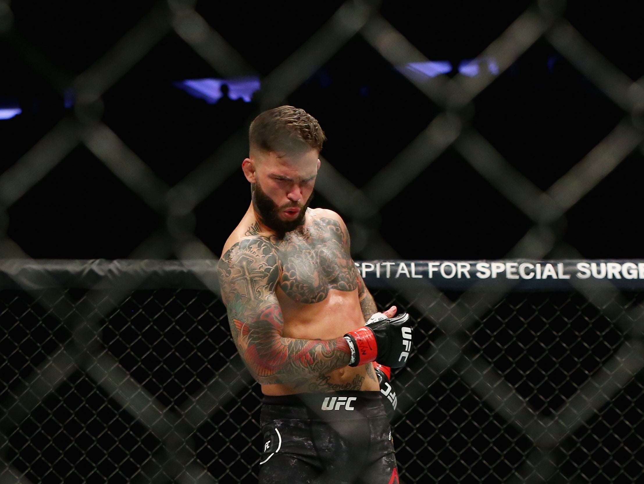 Garbrandt dancing during his decision win over Dominick Cruz in 2016