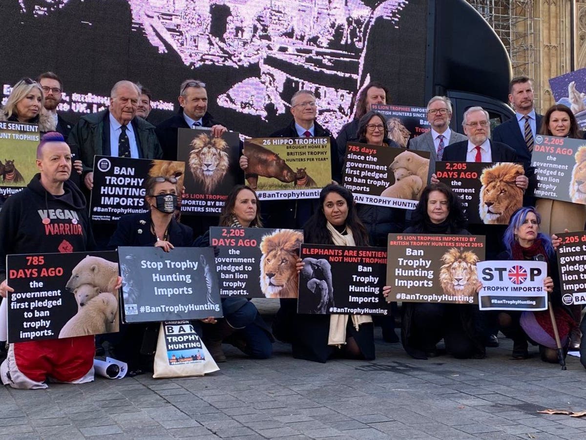 Fears new ban on trophy-hunt imports could be delayed for years