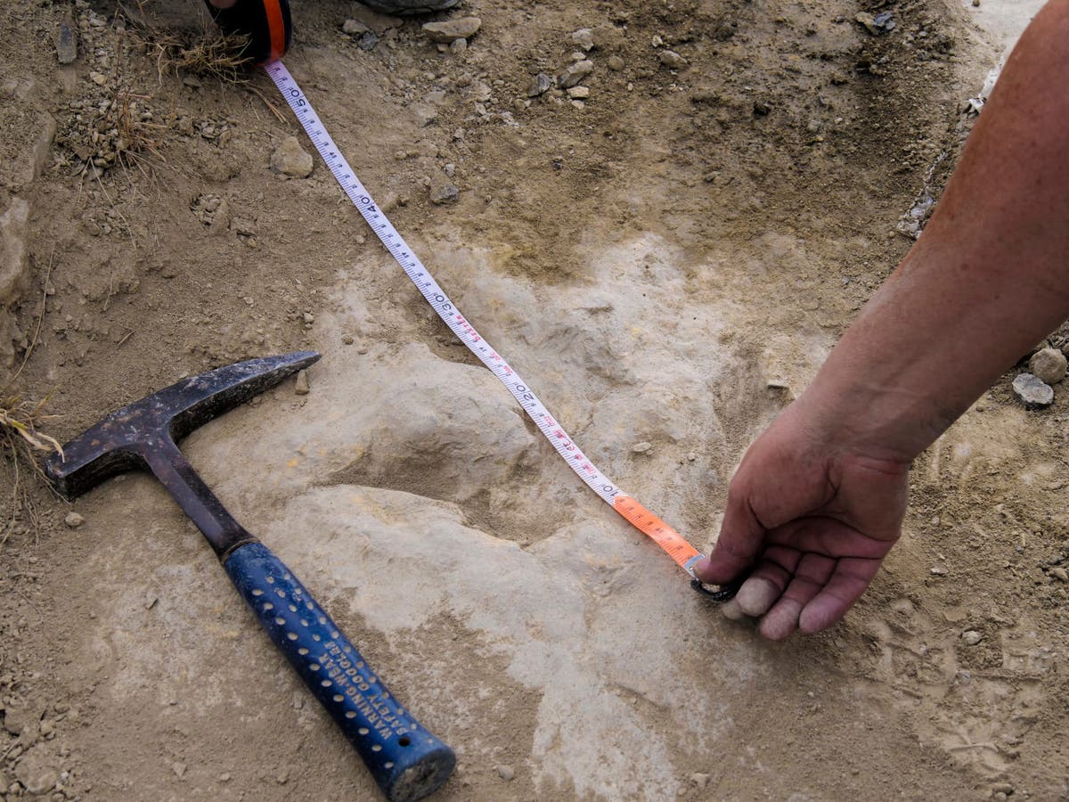 Footprints show some two-legged dinosaurs were agile