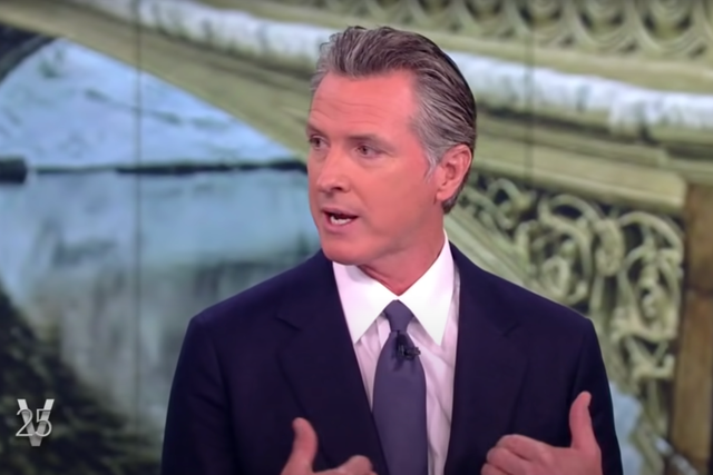 <p>Gavin Newsom discusses a recent wave of ‘smash-and-grab’ robberies in California on ‘The View'</p>