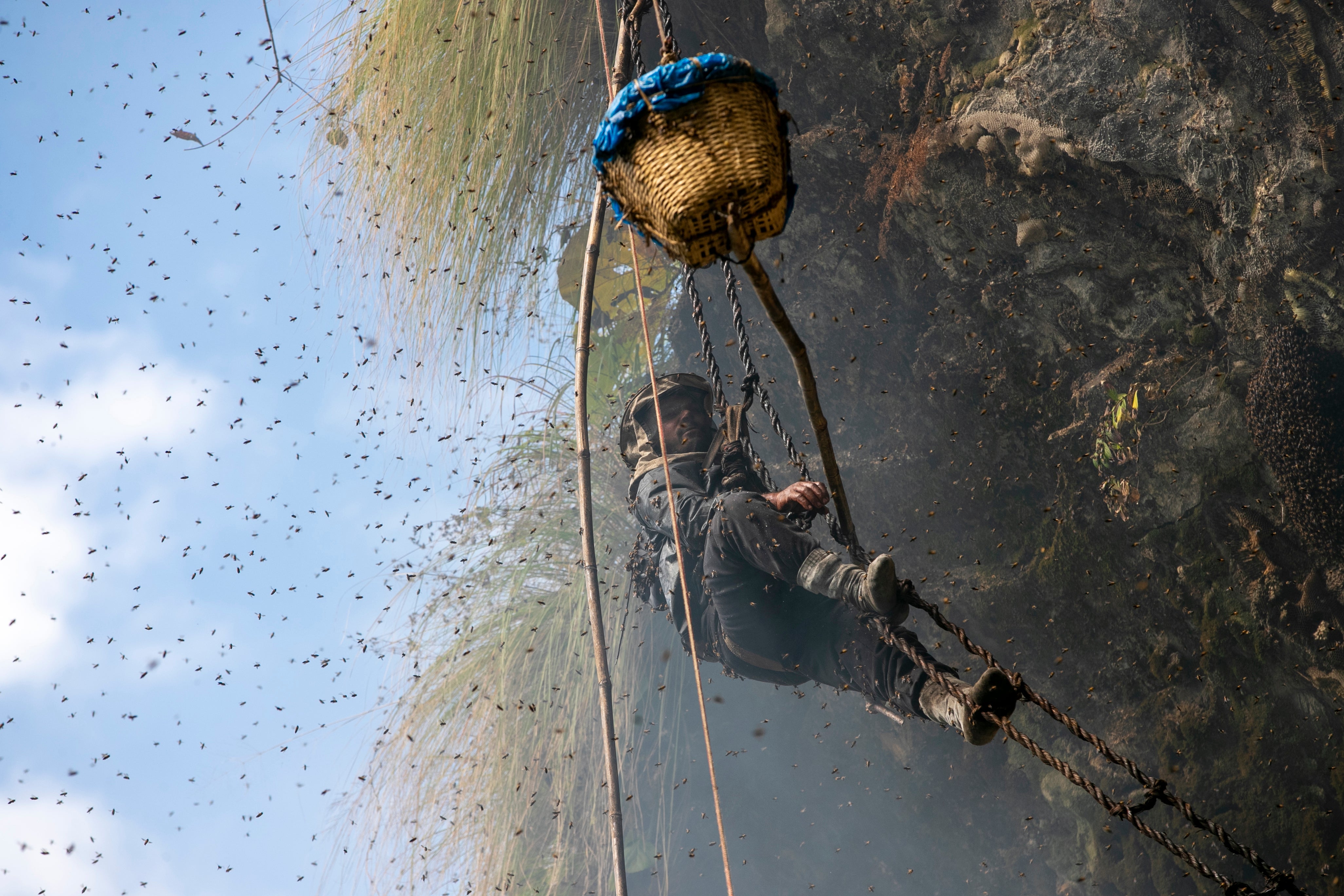 AP Week in Pictures Asia