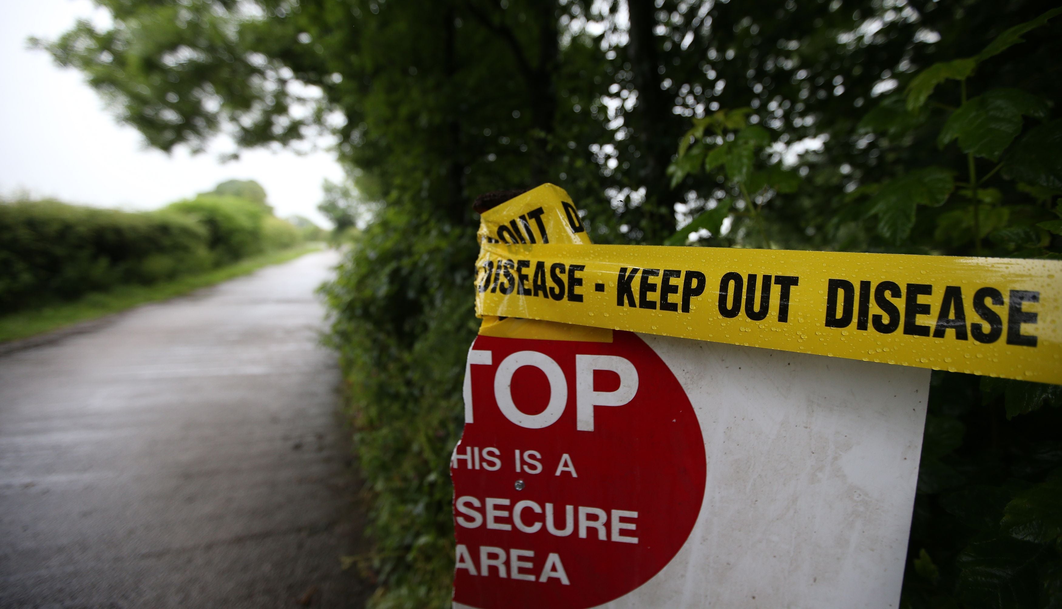 Avian flu has been found at another premises (Lynne Cameron/PA)
