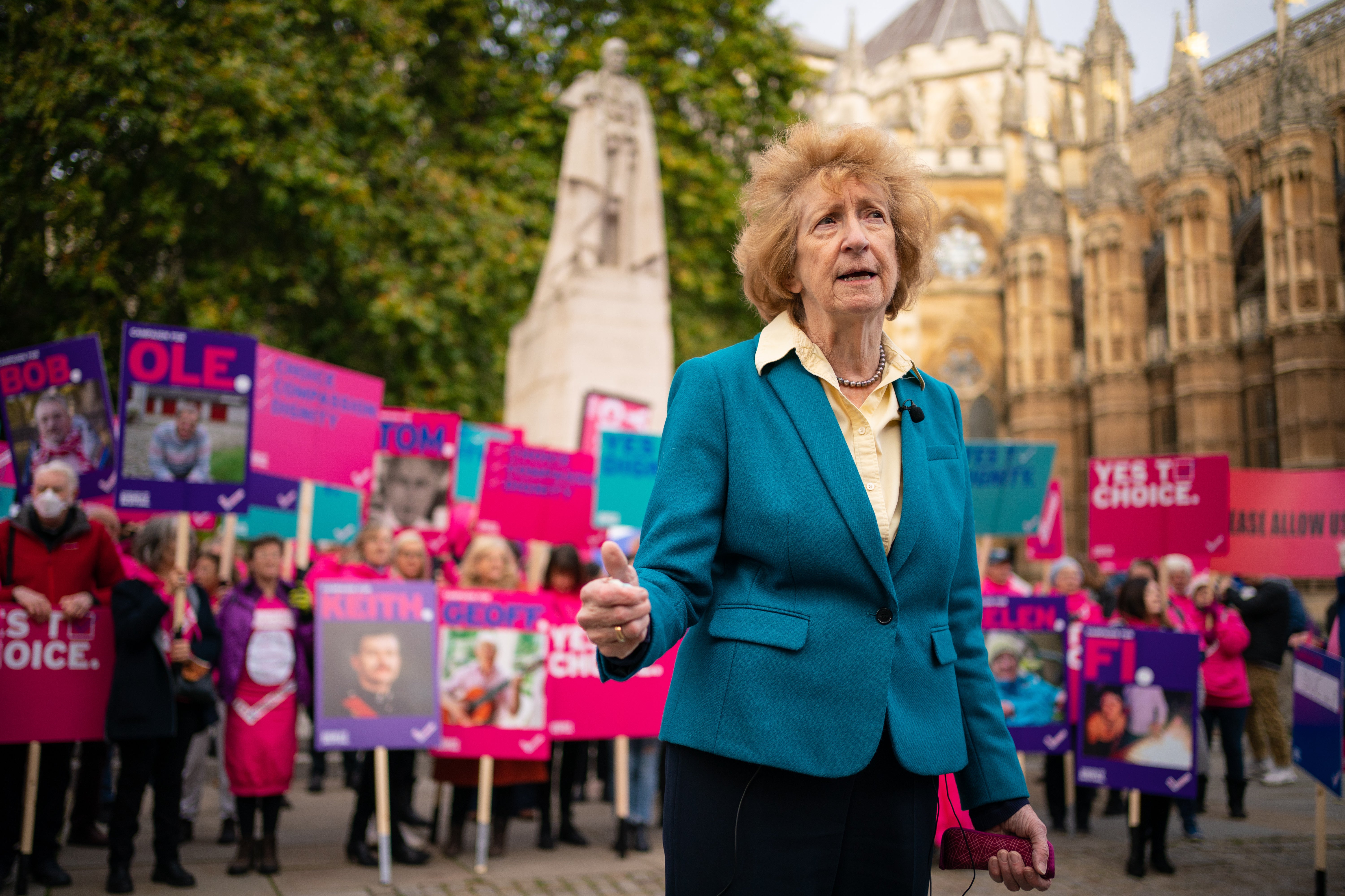 Baroness Meacher is aiming to make assisted dying a choice for terminally ill, mentally competent adults in their final six months of life