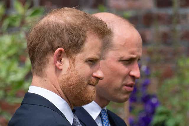 The Duke of Cambridge and his brother the Duke of Sussex (Dominic Lipinski/PA)