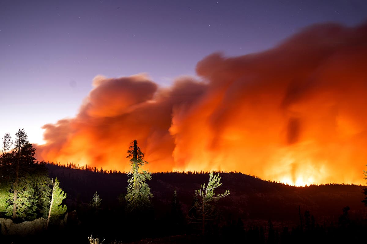 Father, son charged with starting wildfire plead not guilty 