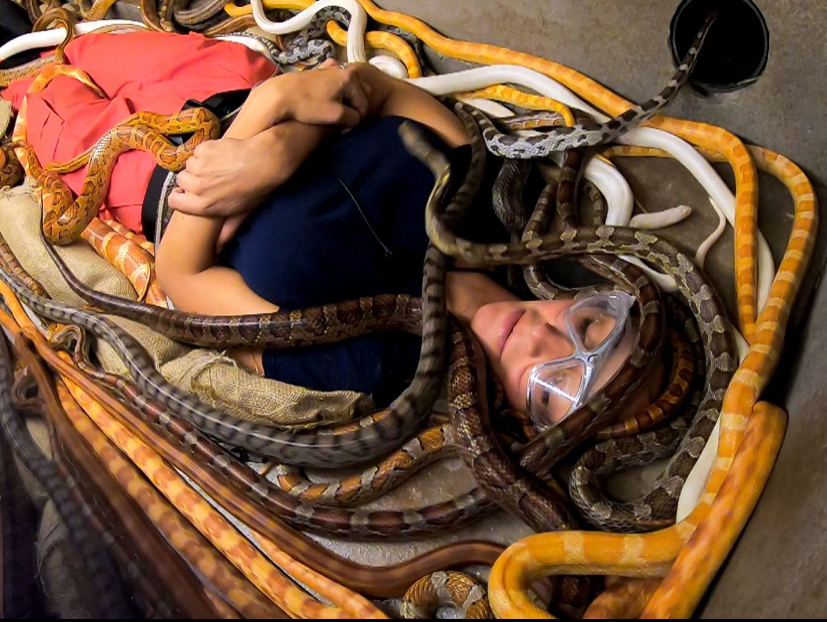 <p>Frankie Bridge</p>