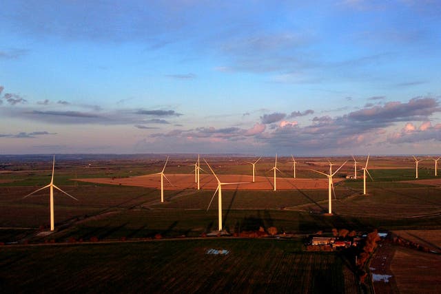 <p>Onshore wind installation plummeted after government blocked projects from applying for funding</p>