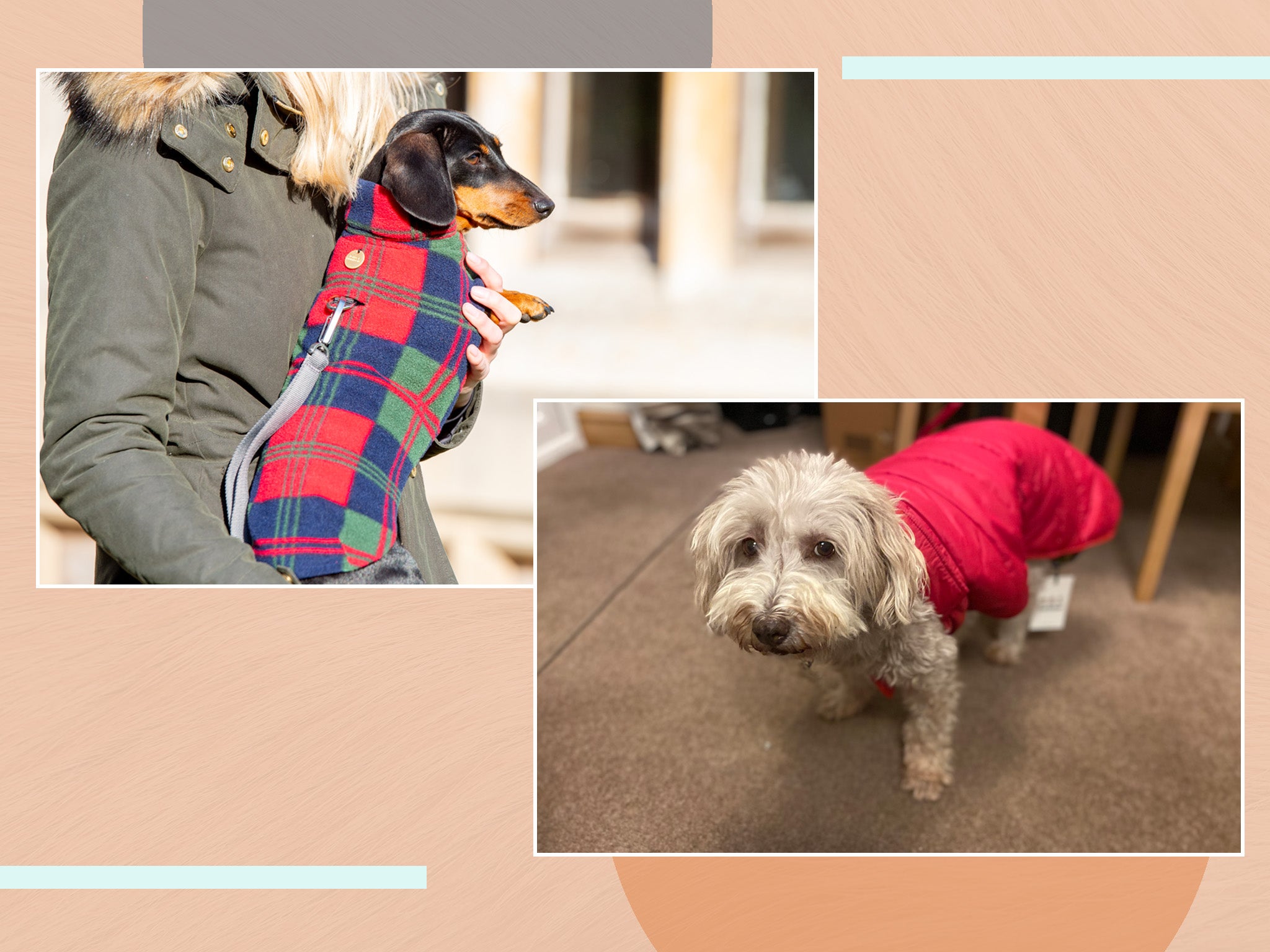 Beige Luxurious Dog Winter Coat Top quality chic dog winter jacket* Warm stylish jacket for small dogs* Bestseller!* Awesome dog coat