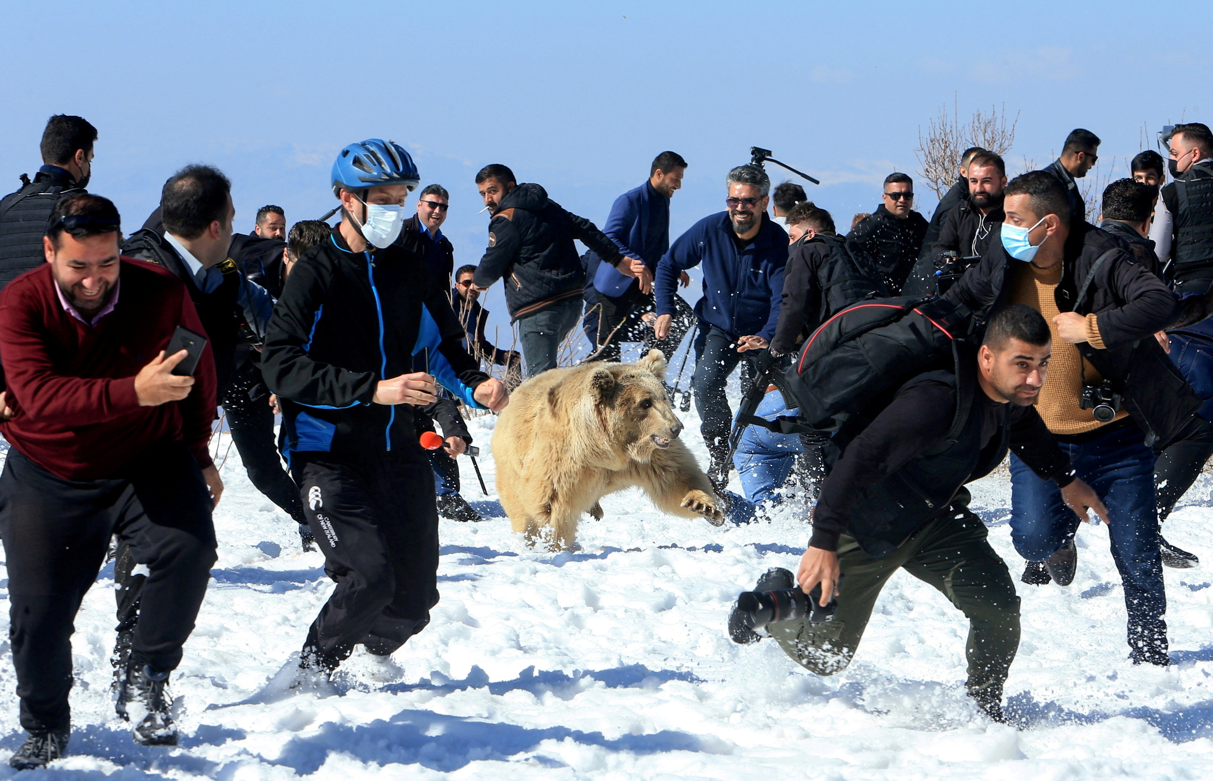 People run for safety as Kurdish animal rights activists release a bear into the wild in Dohuk, Iraq