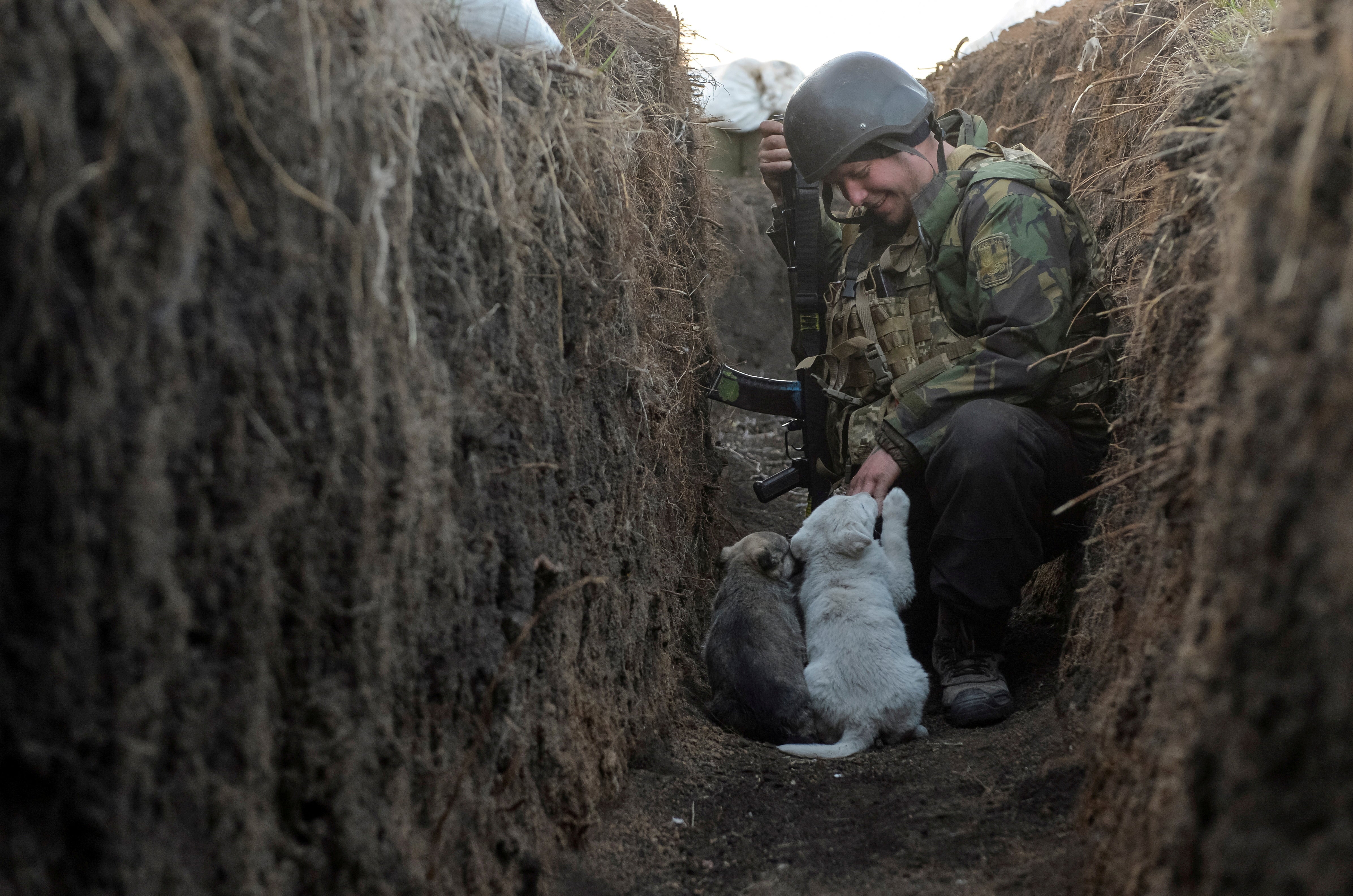 Volodymyr, a member of the Ukrainian armed forces, plays with puppies in a trench on the line of separation from pro-Russian rebels in Donetsk, Ukraine