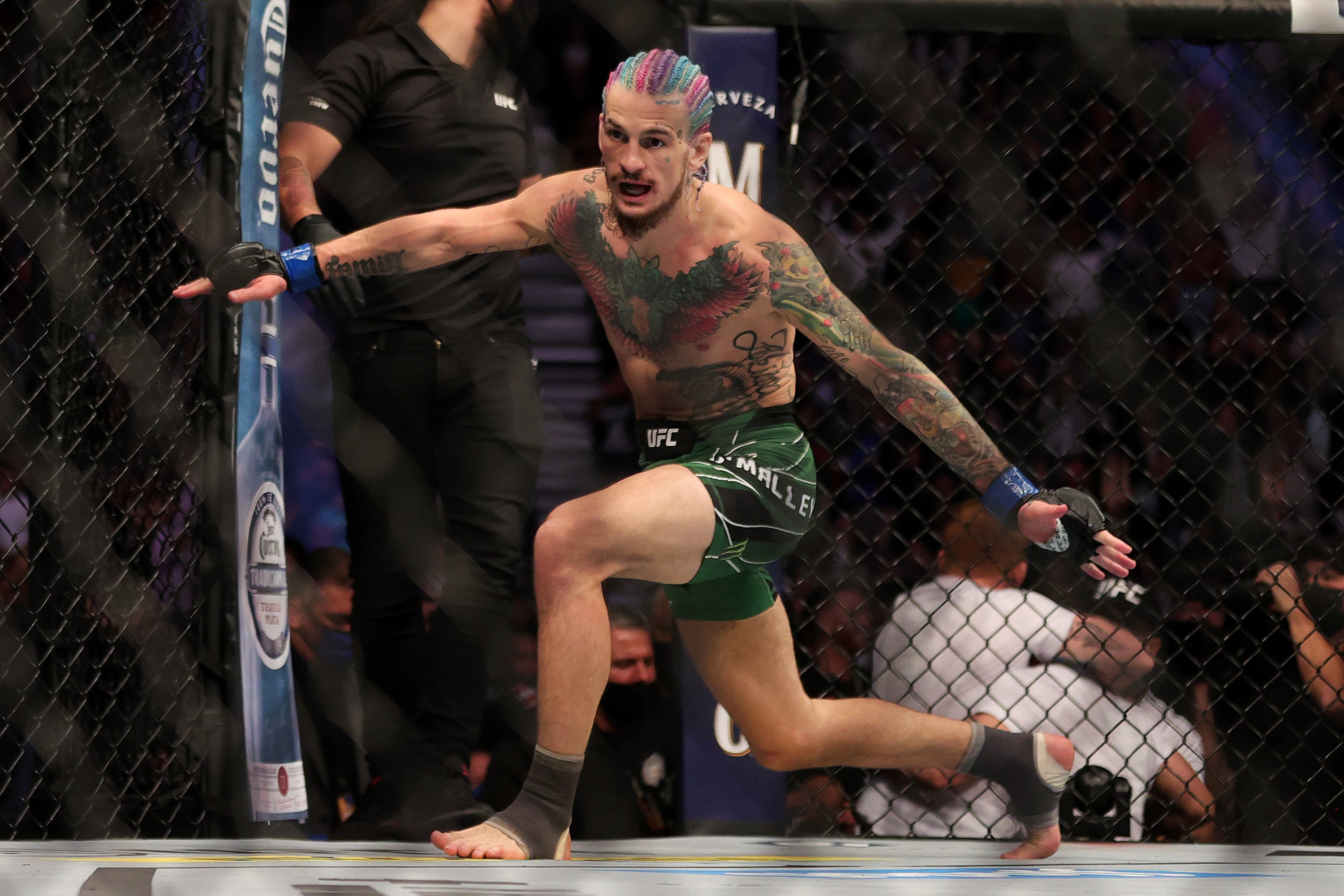 Sean O’Malley is a potential future star for the UFC