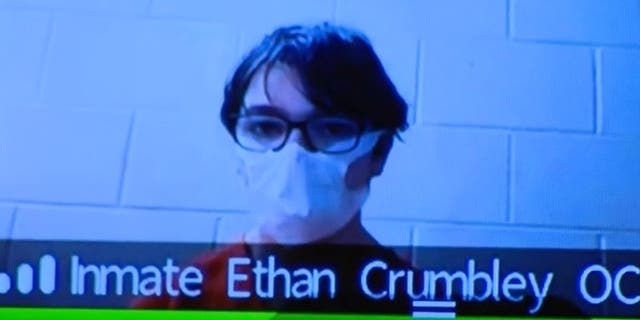 <p>Ethan Crumbley is pictured at the hearing via Zoom </p>