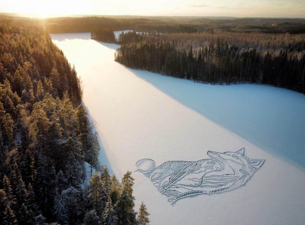 FINLANDIA-LAGO CONGELADO
