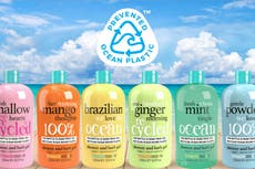 The company preventing plastics ending up in the ocean