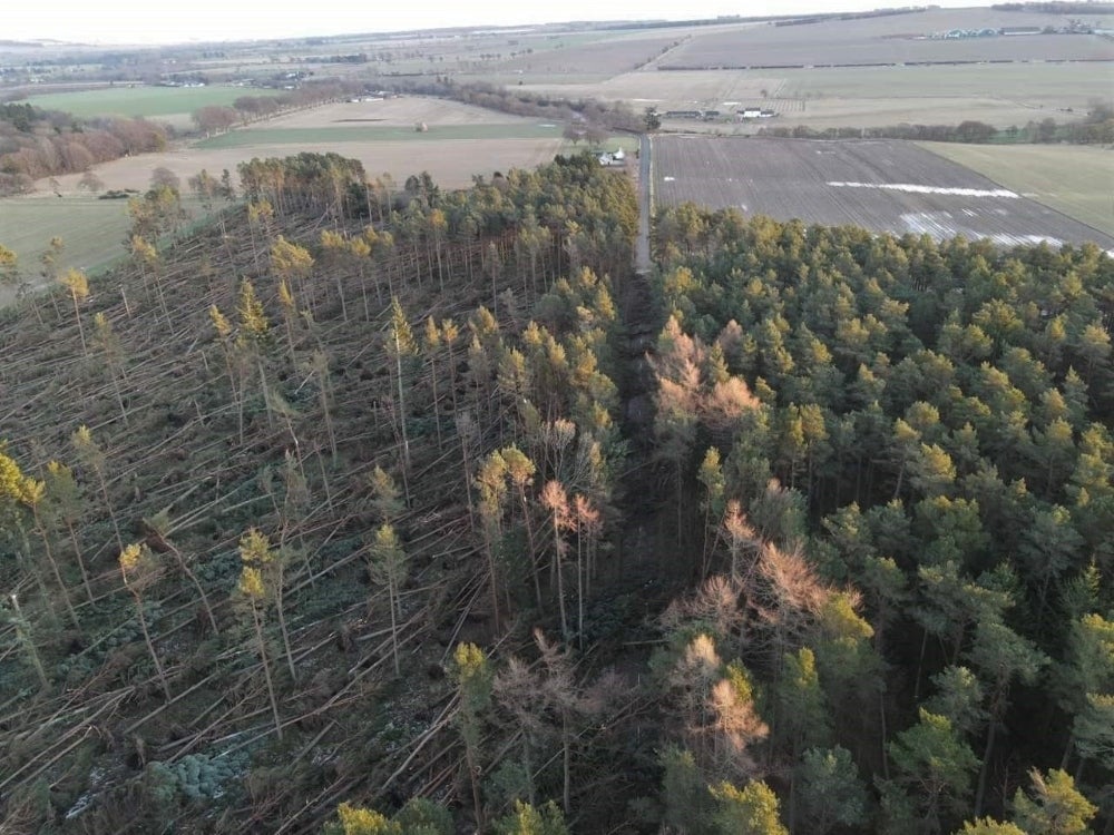 Trees in Aberdeenshire were affected by the storm (Forestry and Land Scotland/PA)