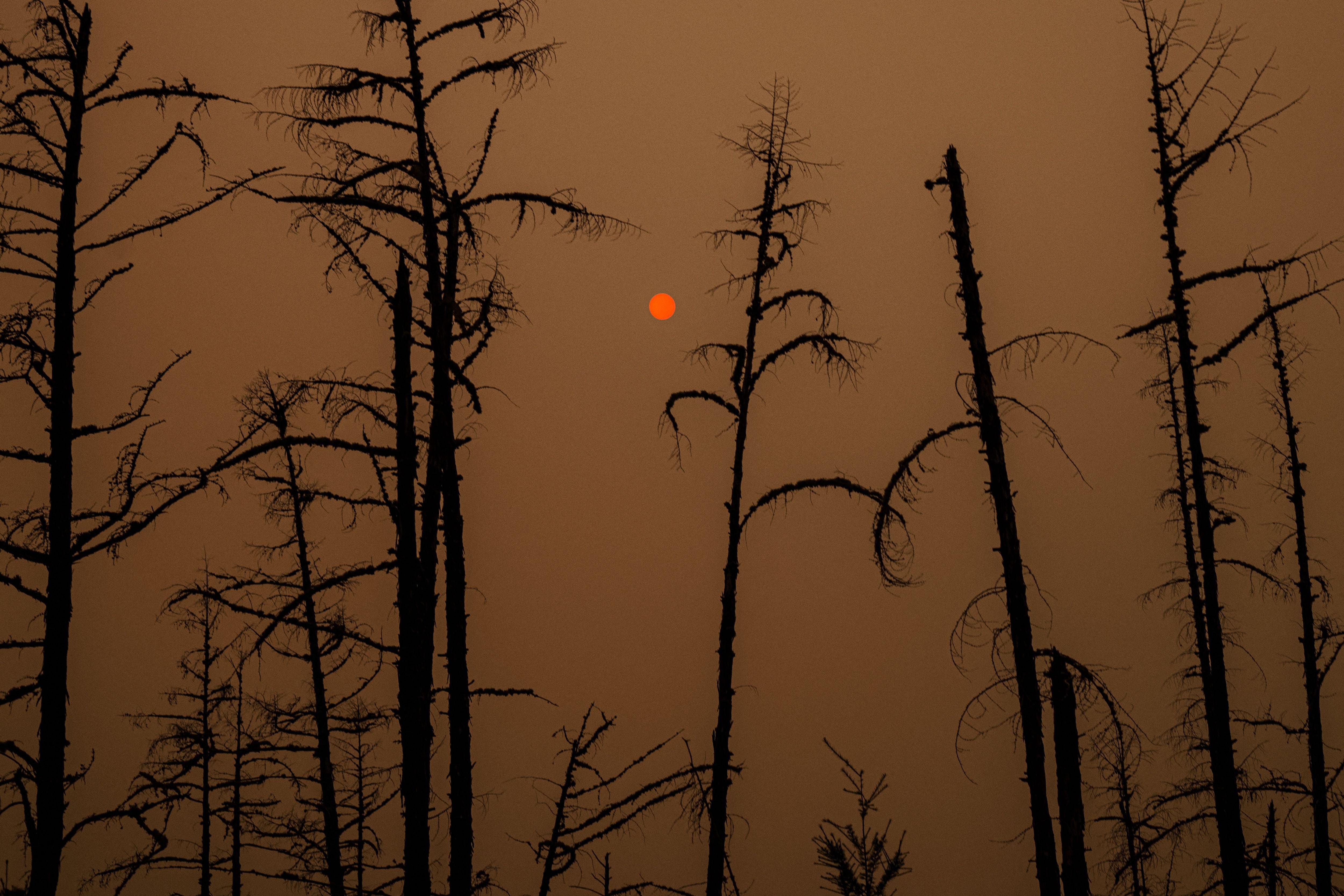 Forest fires near the village of Magaras in the republic of Sakha, Siberia in July 2021