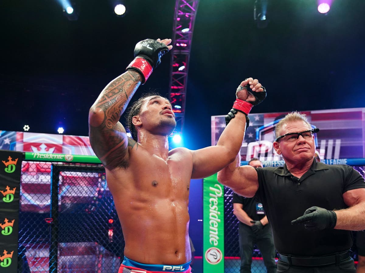 Mma Schedule 2022 Pfl Commits To Staging Mma Events In Africa And Europe In 2022 | The  Independent