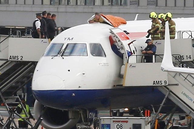 <p>James staged a spectacular climb on top of the fuselage of a British Airways jet at London City Airport in October 2019 </p>