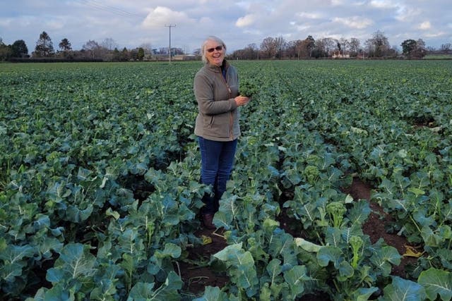 Caroline Green’s family-owned farm has helped extend the Tenderstem broccoli growing season into December (Tesco/PA)
