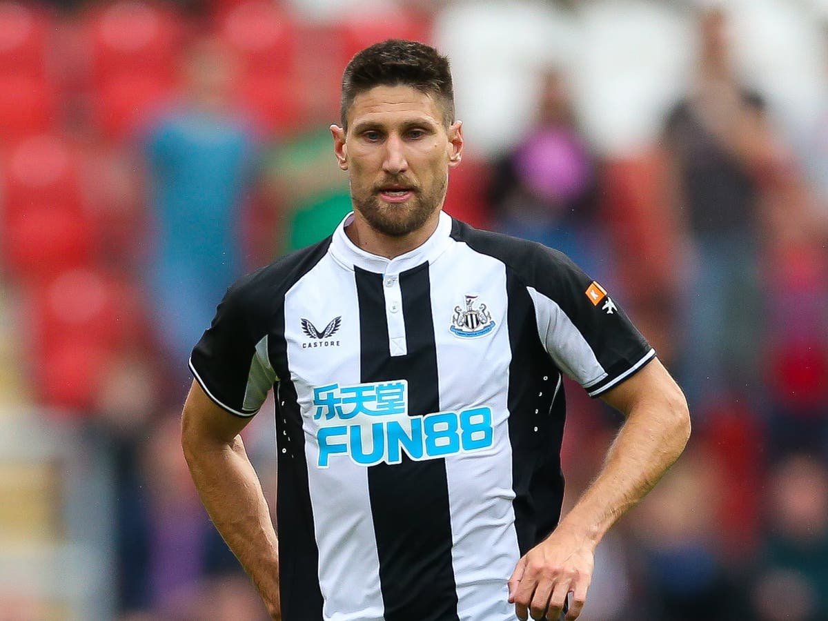 Newcastle lose Federico Fernandez for festive period with thigh injury