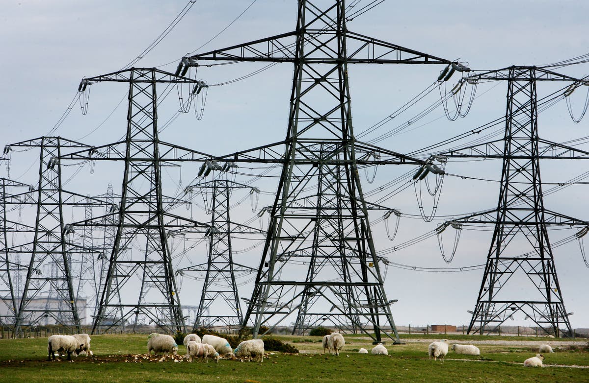 How could the energy price cap change?