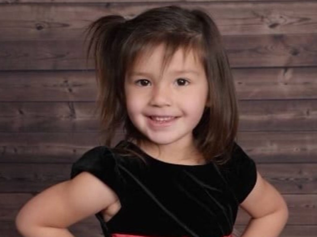 Her sister said she was eaten by wolves, and police have arrested her parents: What we know about missing five-year-old Oakley Carlson