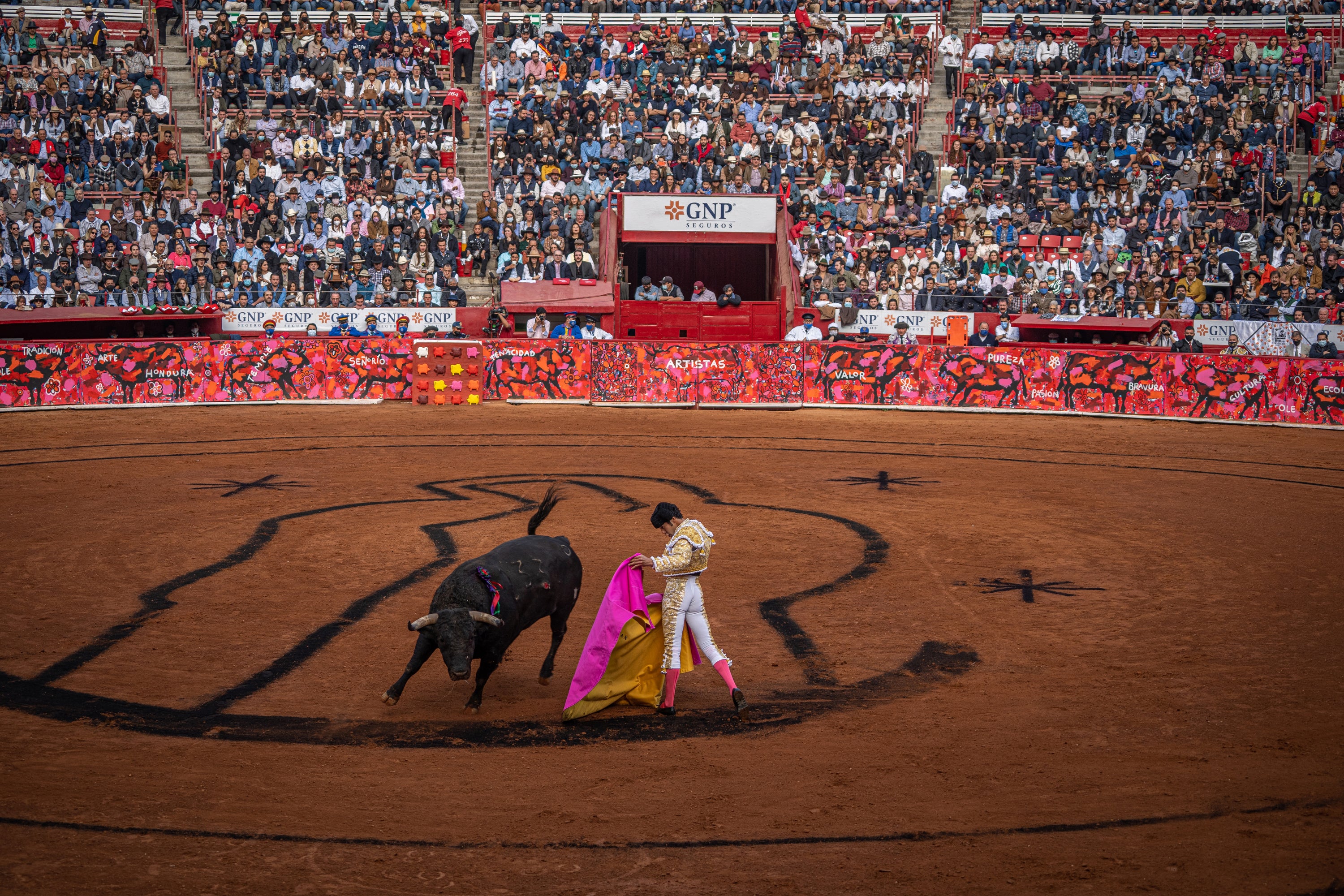 A bullfighter dodges a bull in the ring