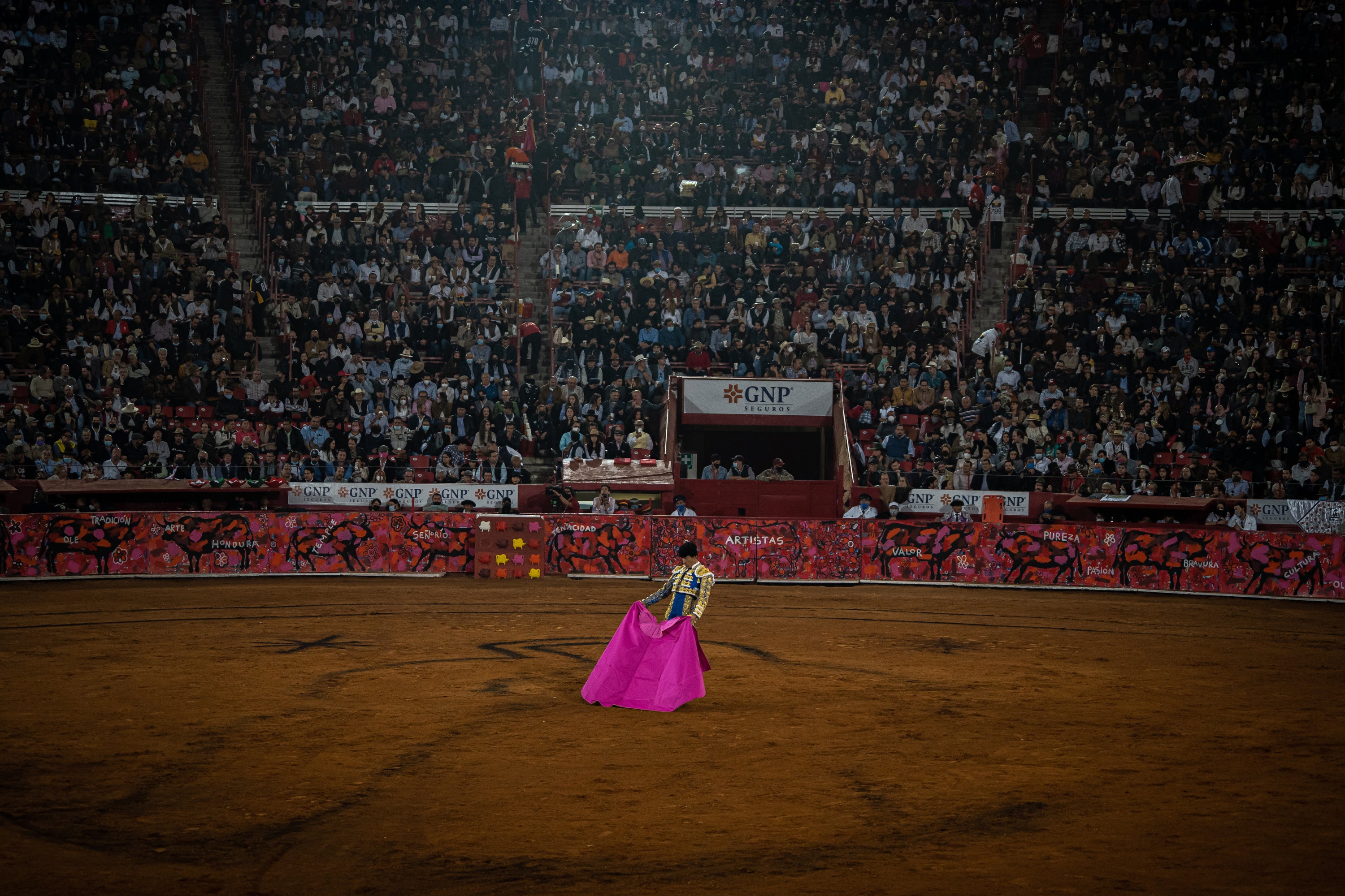 A bullfighter tries to provoke a bull into charging him at the Plaza Mexico in Mexico City