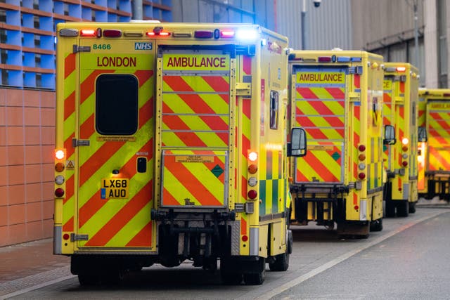 <p>The London Ambulance Service Trust was down by almost 100 ambulances on Thursday evening and Friday due to staff sickness</p>